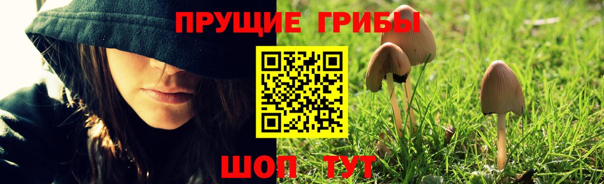 Ликино-Дулёво  Галлюциногенные грибы Cubensis  Вход с VPN  Галлюциногенные грибы MAGIC MUSHROOMS 